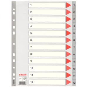 image of Esselte 100106 A4 Plastic Dividers Grey with 12 Tabs (11 holes)