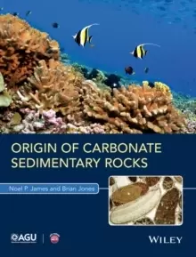 Image of Origin of Carbonate Sedimentary Rocks