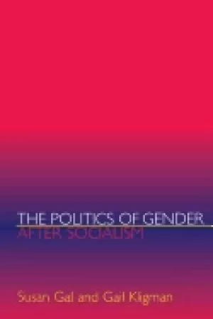 Image of politics of gender after socialism