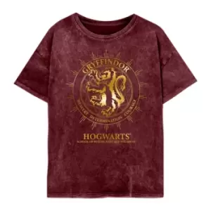 image of Harry Potter - Gryffindor Constellations (SuperHeroes Inc. Womens Acid Wash T-Shirt) Ex Ex Large