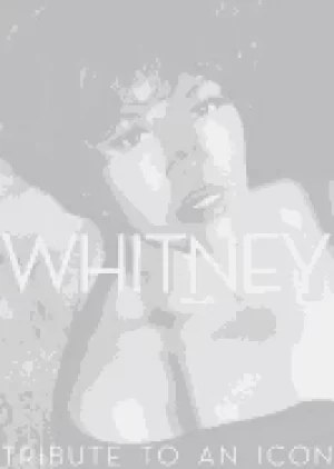 Image of whitney tribute to an icon