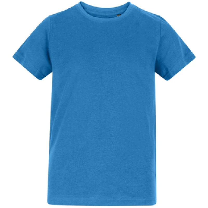 Image of Awdis AT001B boys's Children's T shirt in Blue