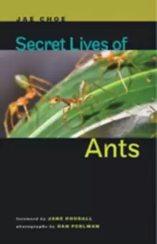Image of Secret Lives of Ants