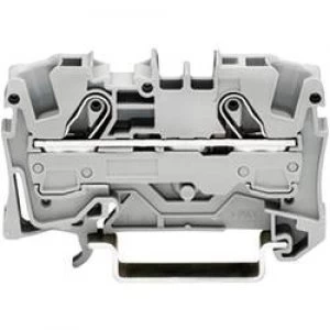 Image of Continuity 7.50 mm Pull spring Configuration L Grey