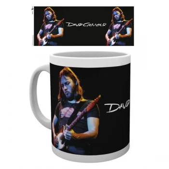 image of David Gilmour - Live Photo Mug