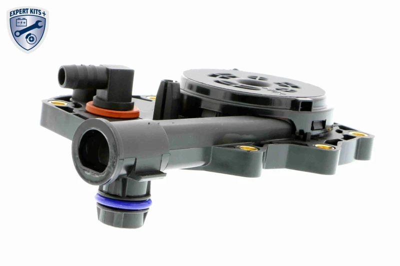 Image of VAICO V20-0790 Valve, engine block breather Non-Return Valve, Original VAICO Quality Valve,engine block breather (3886)