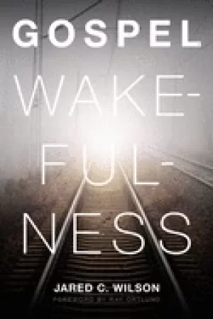 Image of gospel wakefulness