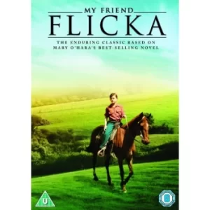 image of My Friend Flicka DVD