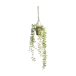 Image of Gallery Interiors Hanging Boxwood With Rustic Pot