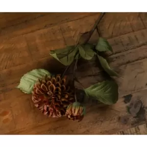 Image of Deep Mustard Dahlia Stem