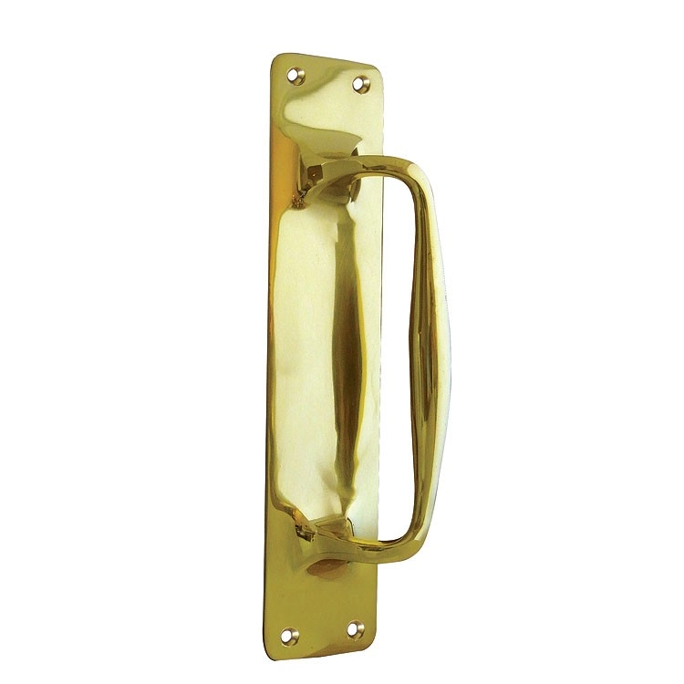 image of Jedo Polished Brass Pull Door Handle On BackPlate