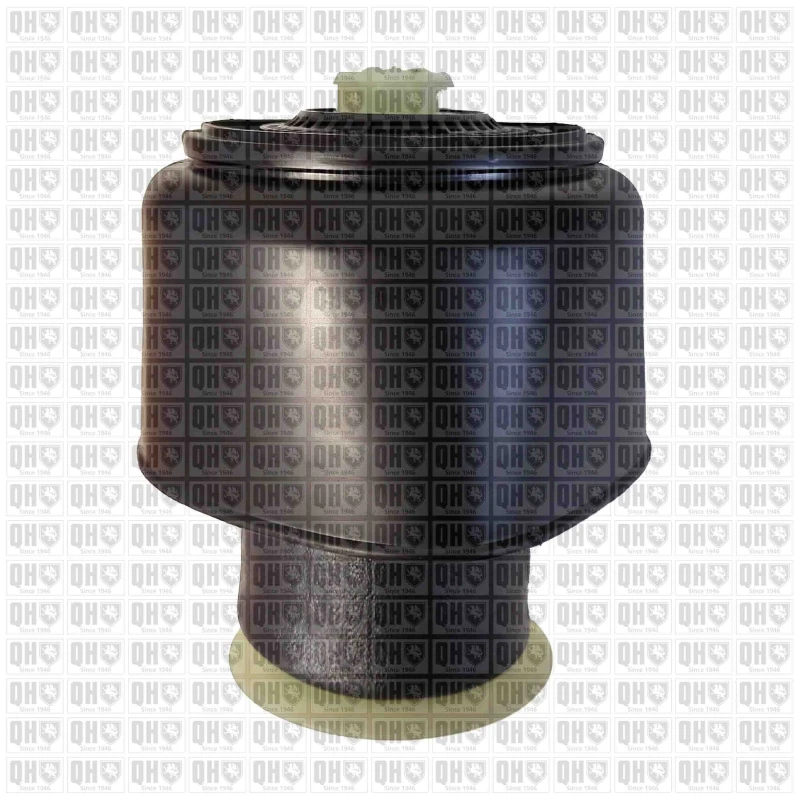 Image of QUINTON HAZELL Air Spring, suspension QUINTON HAZELL EMR6162
