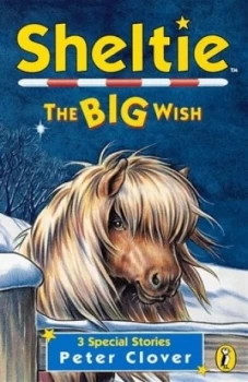 Image of The Big Wish by Peter Clover Book