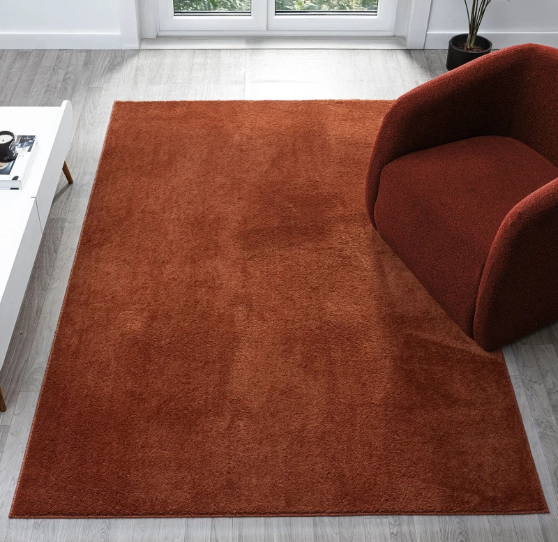 Image of Desire Rugs Comfy Washable Low Pile Living Room Area Rug - Anti Slip Felt Backing in Terracotta Size: 160cm x 220cm Terracotta Unisex 160cm x 220