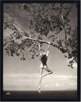Image of Patrick Demarchelier by Patrick Demarchelier Hardback