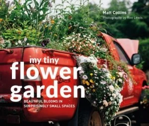 Image of My tiny flower garden by Matt Collins
