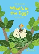 Image of whats in the egg