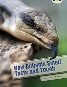 Image of How Animals Smell Taste and Touch by Jo Windsor Book