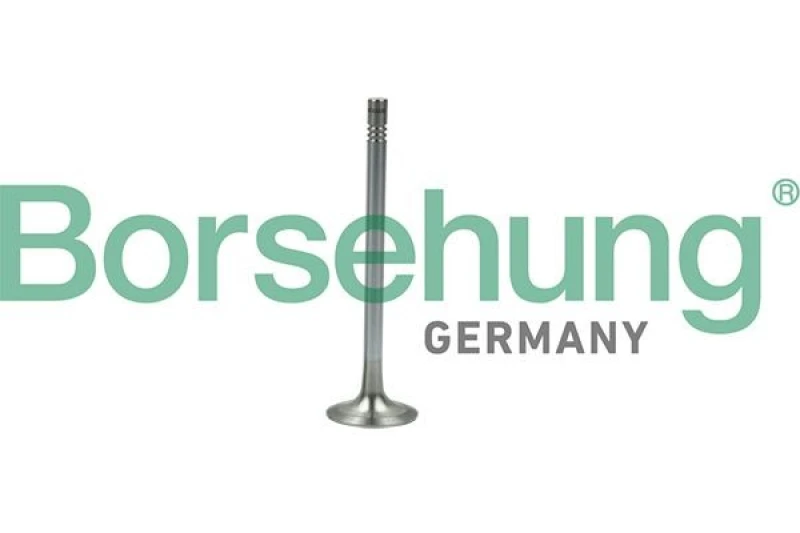 Image of Borsehung Exhaust valve Borsehung B19007