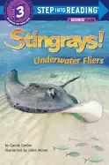 Image of stingrays underwater fliers