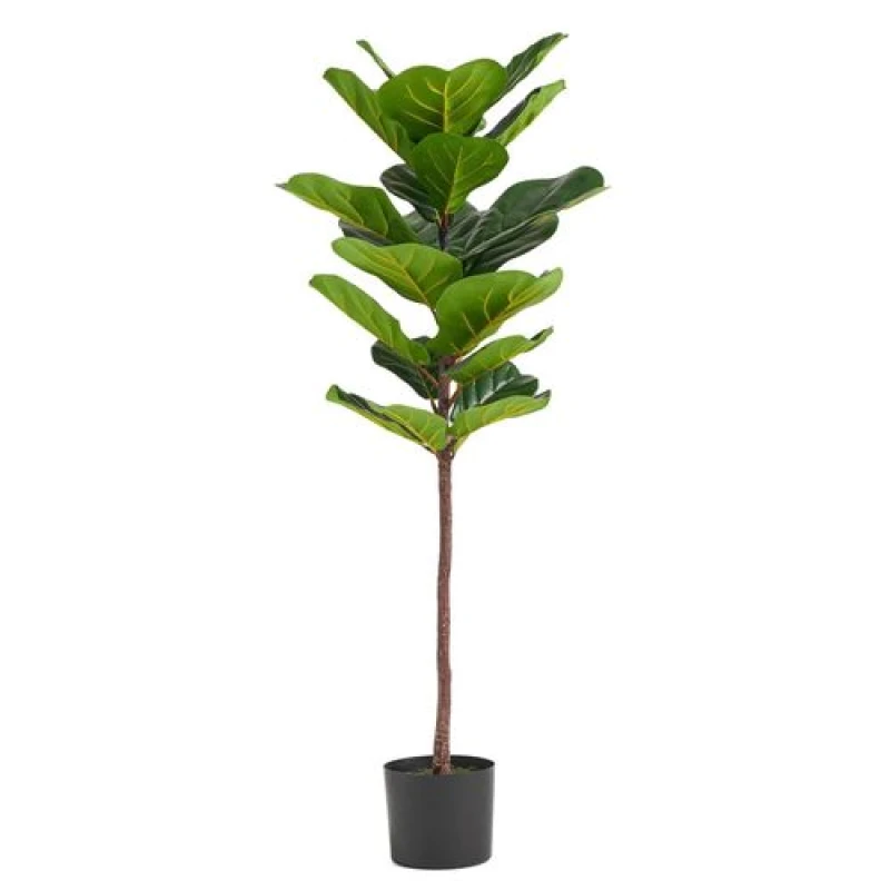 Image of Leaf Large Fiddle Fig Tree Artificial 120cm Premium Plant Green