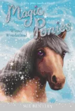 Image of winter wonderland 5