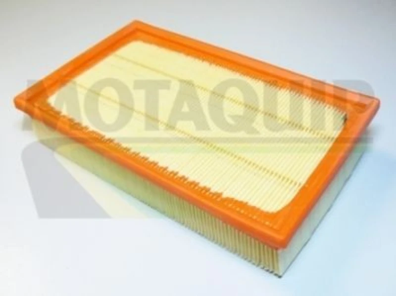 Image of MOTAQUIP Air filter MOTAQUIP VFA1019
