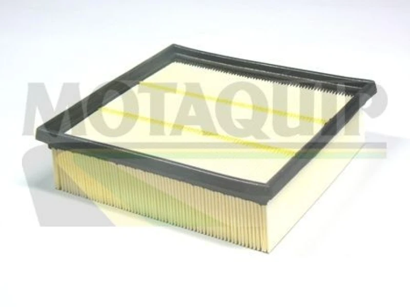 Image of MOTAQUIP Air filter MOTAQUIP VFA1141