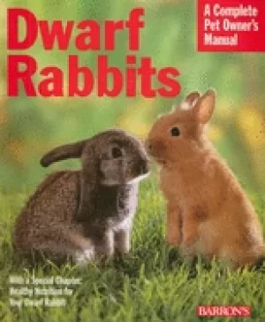 Image of dwarf rabbits