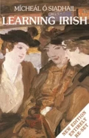 Image of learning irish new edition text