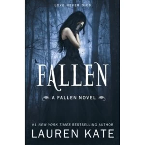 Image of Fallen: Book 1 of the Fallen Series by Lauren Kate (Paperback, 2010)