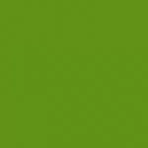 Image of Forrest Green Matt Acrylic 2440 x 1200mm