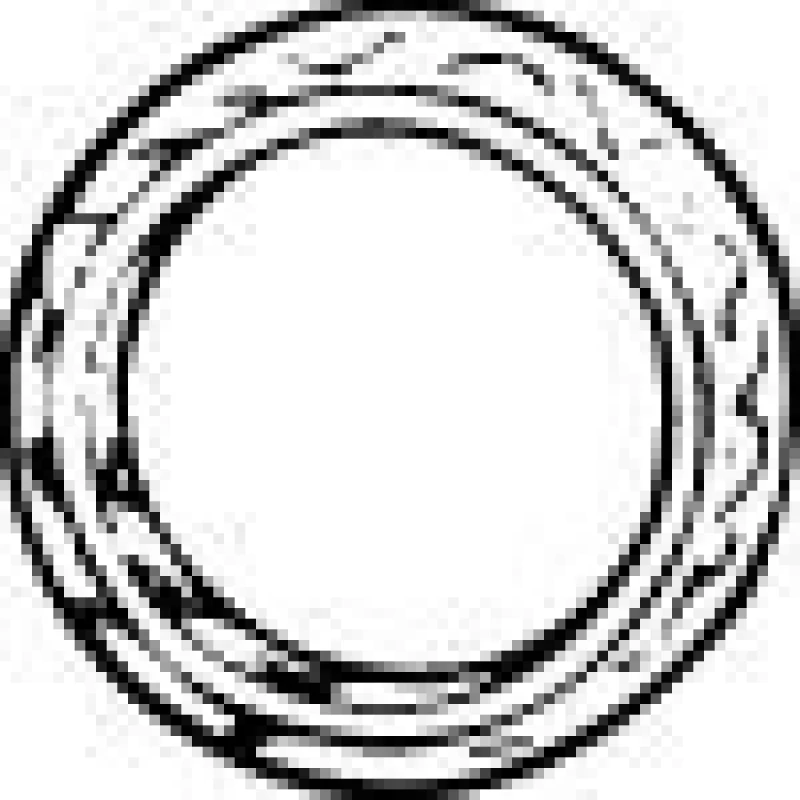 Image of Exhaust pipe gasket VEGAZ VOD-111