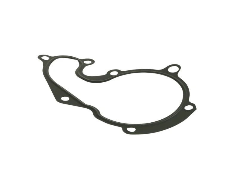 Image of FAST Gasket, water pump FAST FT57401