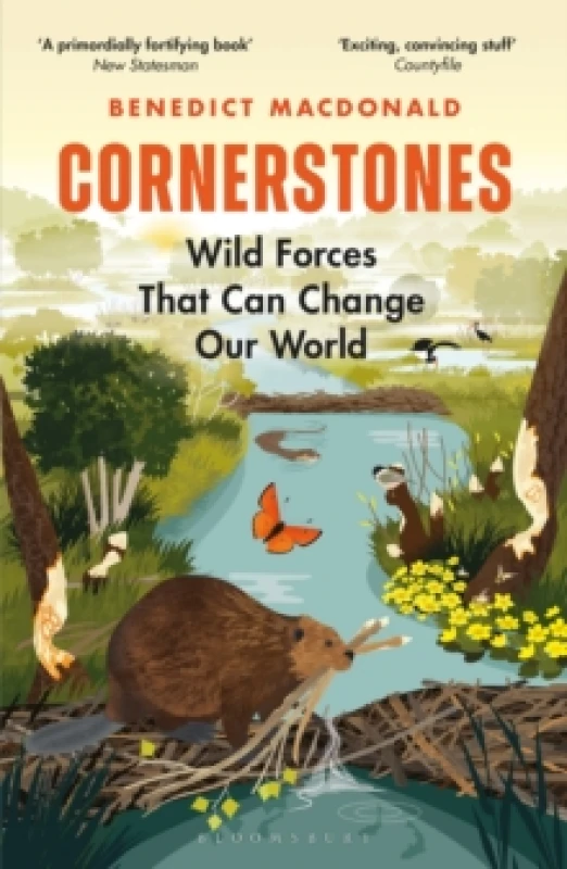Image of Cornerstones : Wild forces that can change our world Paperback / softback