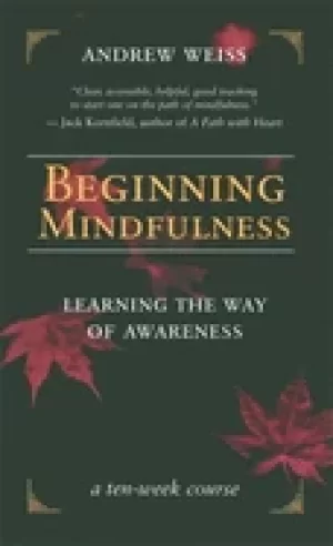 Image of beginning mindfulness learning the way of awareness