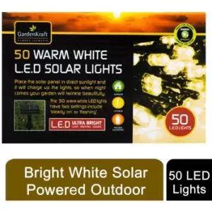 Image of Dusk Till Dawn Solar Powered 50 White LED String Lights 4.9m for Gardens, Home