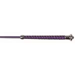 Image of Riding Crop (Silver)