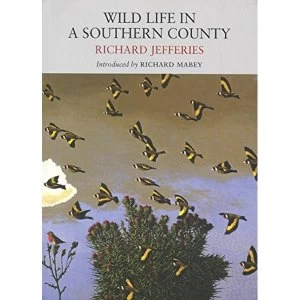 Image of Wild Life in a Southern County by Richard Jefferies (Paperback, 2011)