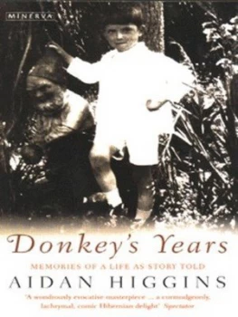 Image of Donkeys Years by Aidan Higgins Paperback