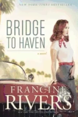 Image of bridge to haven a novel