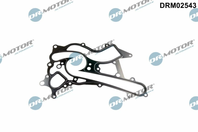 Image of DR.MOTOR AUTOMOTIVE Gasket, water pump DR.MOTOR AUTOMOTIVE DRM02543