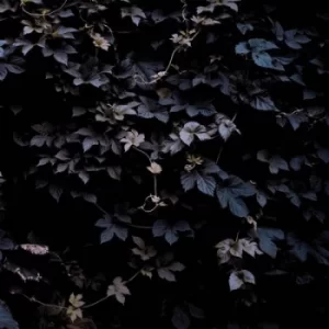 Image of Vivid Flu by Michael Vallera Vinyl Album