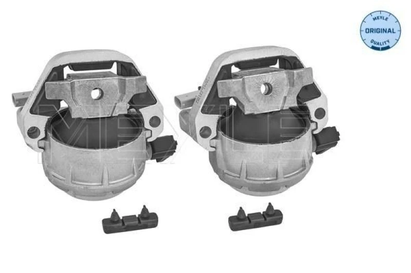 Image of Engine mount MEYLE 100 199 3102/S