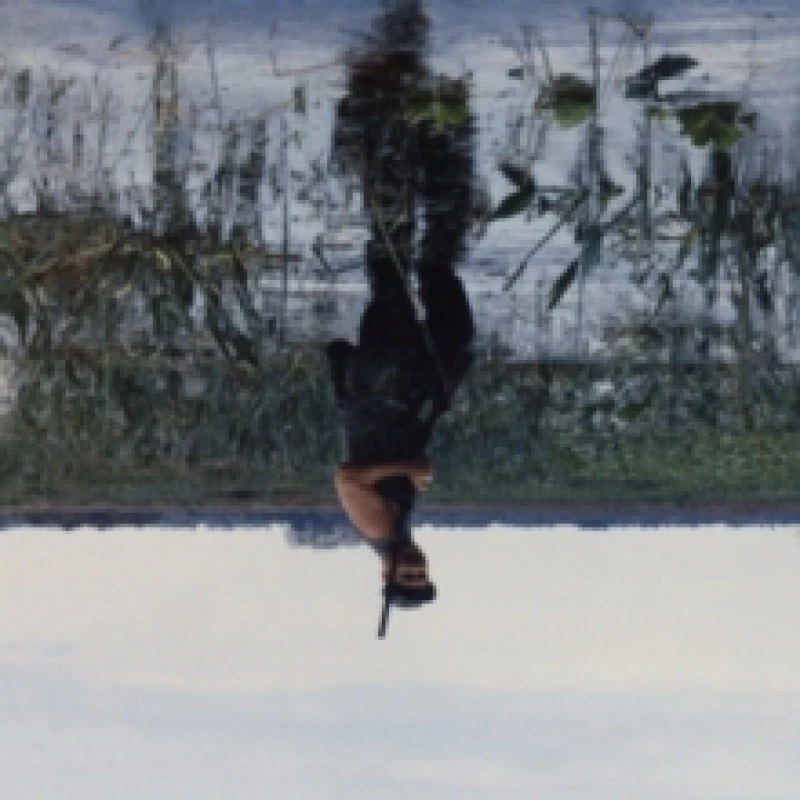 Image of Animal Drowning Vinyl