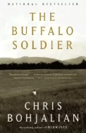 Image of buffalo soldier a novel