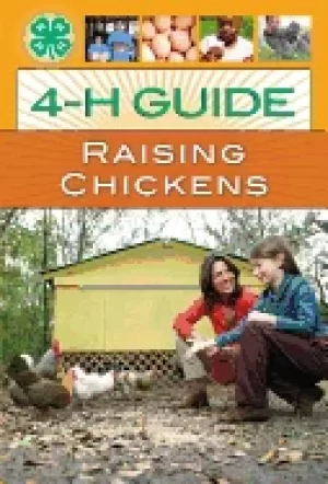 Image of 4 h guide to raising chickens