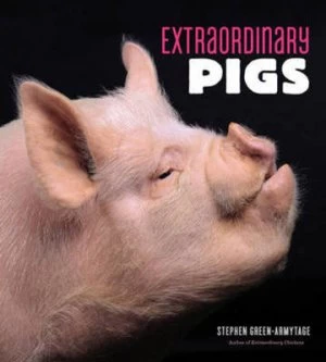Image of Extraordinary Pigs by Stephen Green-Armytage Hardback