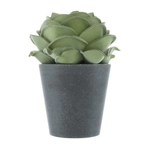 image of The Flower Patch Rose Green in Grey Pot 19.5cm