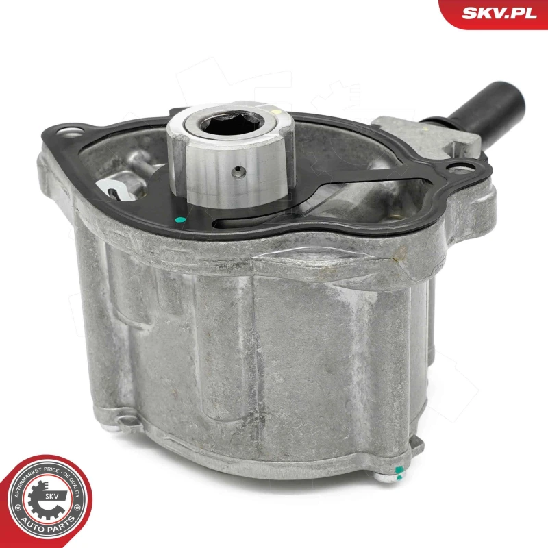 Image of ESEN SKV Brake vacuum pump ESEN SKV 18SKV069